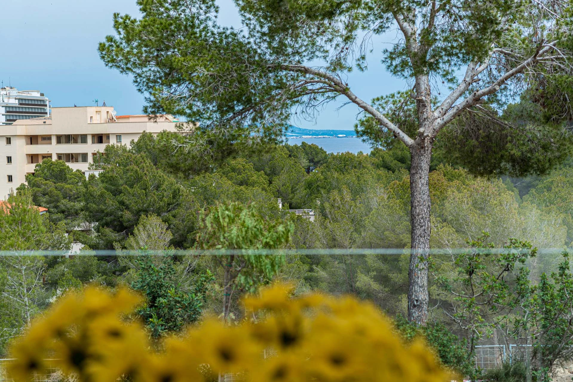 Rare opportunity in Cala Vinyes